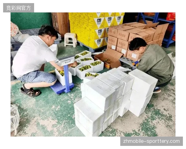新型打包服务优化供应链，直接淘汰了低端旅游纪念品分销中间商